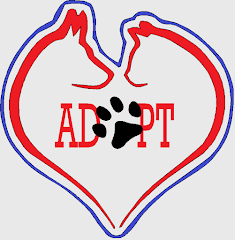 Feature Image for Humane Society of Decatur and Macon County